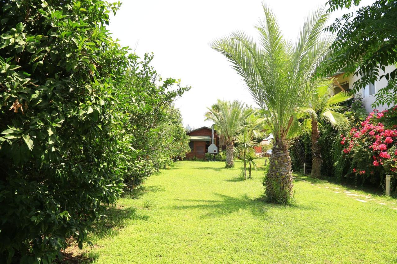 Bed and Breakfast Tunays Pansiyon Çıralı Zimmer foto